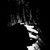 :iconforevercat1: