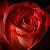 :iconforeverforgotten07: