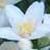 foreverfornever6 :iconforeverfornever6:
