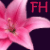:iconforeverhorses: