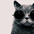 :iconforevermysea: