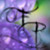 :iconforeverphotographyy: