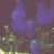 :iconforeverthefawn: