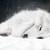 :iconforeverwolfgirl25: