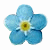 :iconforget-me-knot: