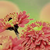 :iconforget-me-not-darlin: