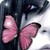 :iconforgetme-not99: