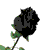 :iconforgetmelovelife: