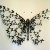 :iconforgotten-addictions: