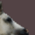 :iconforgotten-creations: