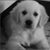 :iconforgotten-fairytale: