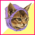 :iconForgotten-Sins: