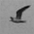 :iconforgotten187113: