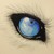 :iconforgottenparadise: