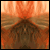:iconforgottensymmetry: