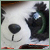 :iconforintedp: