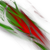 :iconforintedp: