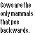 :iconforkedroad: