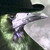 :iconforlorn-rook: