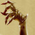 :iconforlornfool: