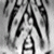 :iconFormanes: