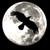 :iconformosomni: