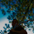 :iconfornacon: