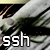 :iconforrestshakeshands: