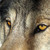 :iconforsaken-rellik-art: