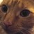 :iconforsakenlydia13: