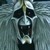 :iconforsakenwarlock: