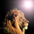 :iconforsink-creation: