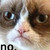 :iconforteshmorte: