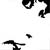 :iconfortherose: