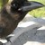 :iconfortifiedwhine: