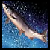 :iconforty-two-fish: