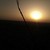 :iconfoscogamgee-took: