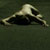 :iconfotoads: