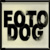 :iconfotodog: