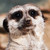 :iconfotofreak92: