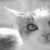 :iconfotograf-artist: