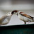 :iconfotograpfie: