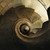 :iconfotoloftas: