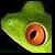 :iconFotoPhrog: