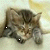 :iconfounne8: