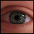 :iconfourtwentyam: