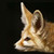 :iconfox-brush: