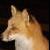:iconfox-from-the-forest: