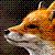 :iconfox001:
