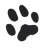 :iconfox15: